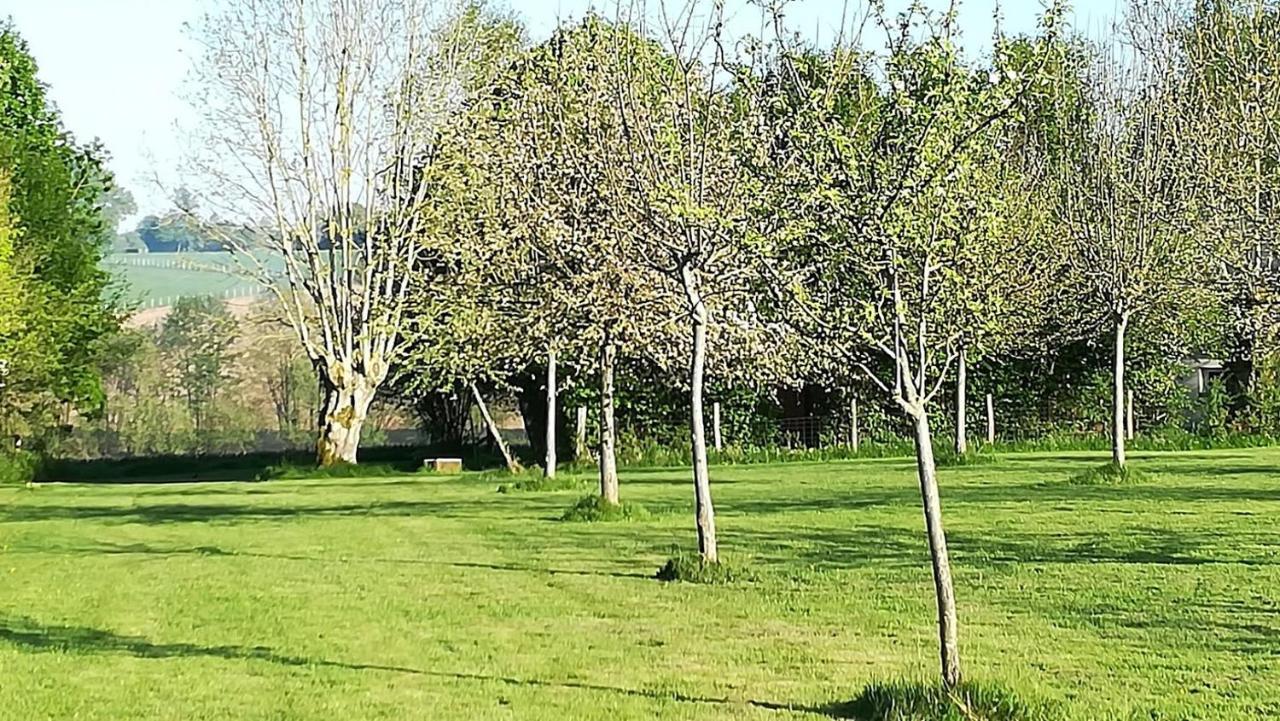 Au Bouton Dort Bed & Breakfast Sainte-Gauburge-Sainte-Colombe Luaran gambar